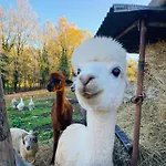 La Ferme Des Vergnes Gabillou