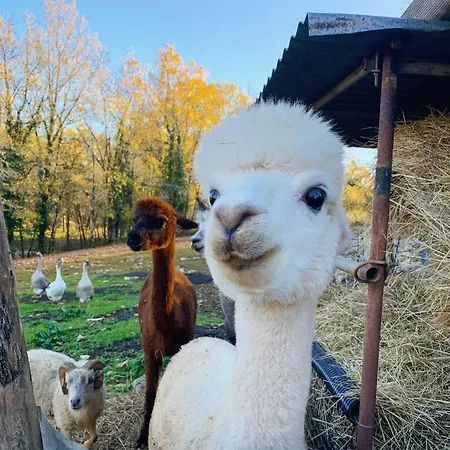 La Ferme Des Vergnes Gabillou