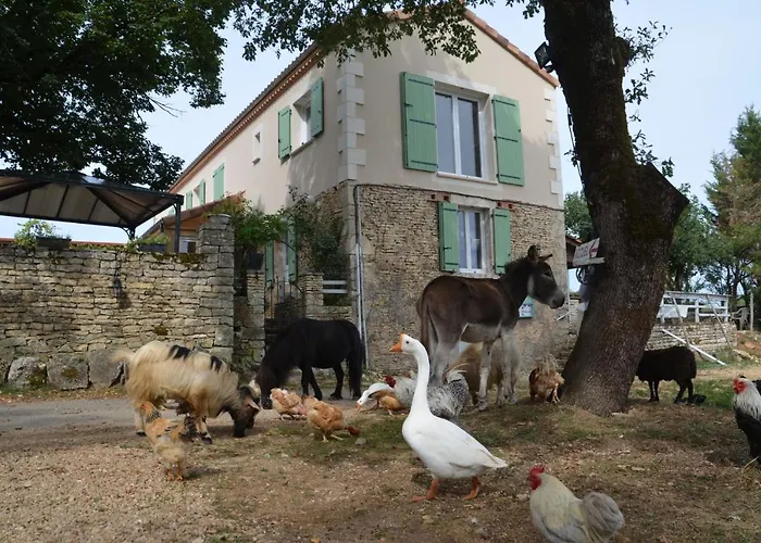 La Ferme Des Vergnes * Gabillou