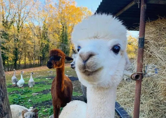 La Ferme Des Vergnes Gabillou
